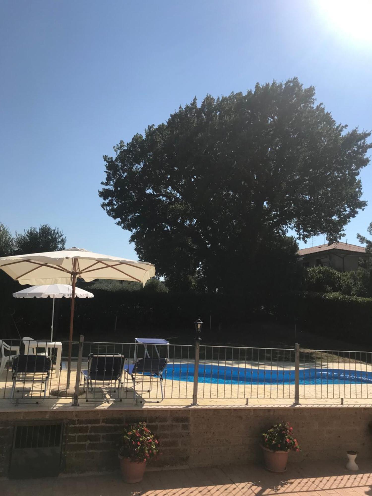 Agriturismo Cerquatonda Montalto delle Marche Eksteriør bilde