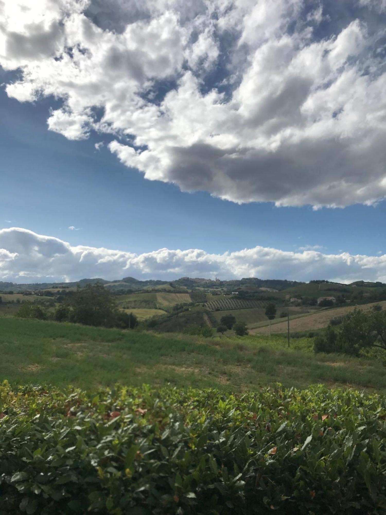 Agriturismo Cerquatonda Montalto delle Marche Eksteriør bilde