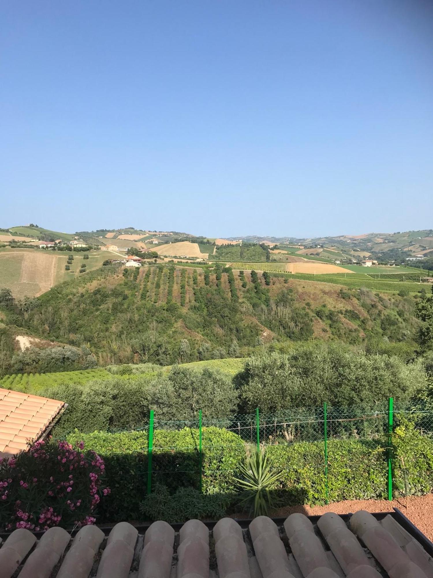 Agriturismo Cerquatonda Montalto delle Marche Eksteriør bilde